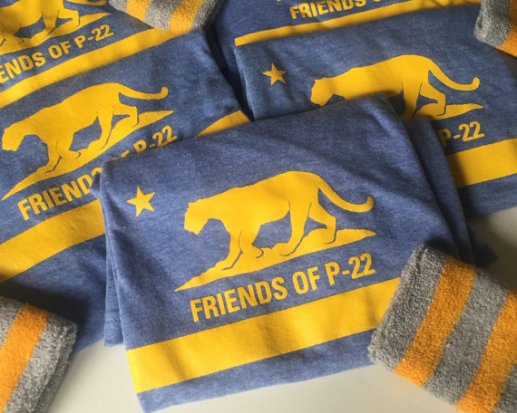 Buy it GIve it, Cats, Christmas gifts, gifts for cat lovers, unique cat themed gifts, Olive & Rye, holiday gifts, Tote Bags, Accessories, tshirts