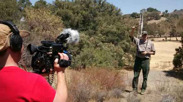 The Cat that Changed America, Documentary,Tony Lee, film festivals,P-22, Mountain Lions, Los Angeles, LA, Hollywood hills cougar, Save LA Cougars, Wildlife Crossing, Save Mountain Lions, Urban Wildlife, Griffith Park, Living with Wildlife, 