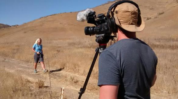 The Cat that Changed America, Documentary,Tony Lee, film festivals,P-22, Mountain Lions, Los Angeles, LA, Hollywood hills cougar, Save LA Cougars, Wildlife Crossing, Save Mountain Lions, Urban Wildlife, Griffith Park, Living with Wildlife, Beth Pratt, 