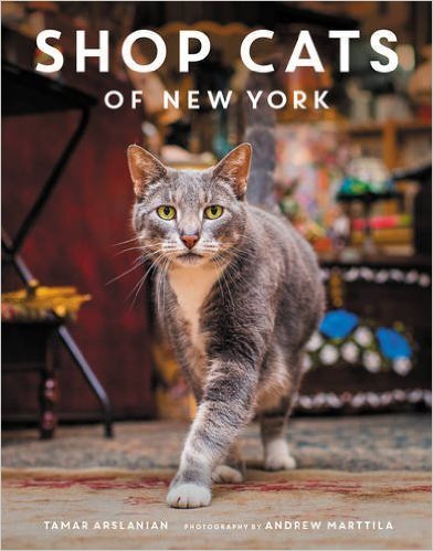 Buy it GIve it, Cats, Christmas gifts, gifts for cat lovers, unique cat themed gifts, Olive & Rye, holiday gifts, big cats, Buy it GIve it, Cats, Christmas gifts, gifts for cat lovers, unique cat themed gifts, Books, Cat books, Shop Cats of New York, Cat Photography