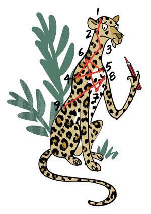 Leopards, spots, spotted cats, big cats, wildlife, cool facts about cats, How the Leopard got its spots, Zambia, Africa, 