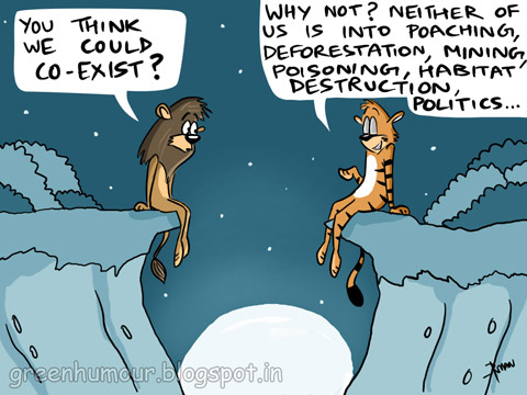 big cats, jaguars, ocelots, living with wildlife, conservation, habitat loss