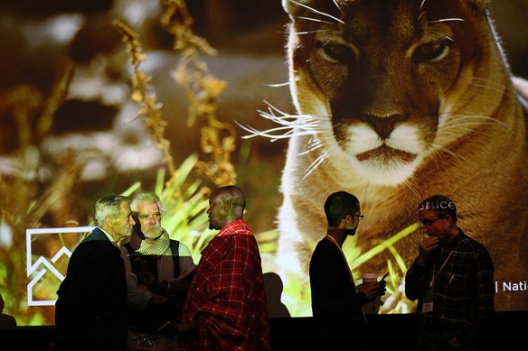 Jackson Hole, Wildlife Film Festival, Conservation Summit, Big Cats, Wild Cats, Jackson Lake Lodge, Grand Teton National Park