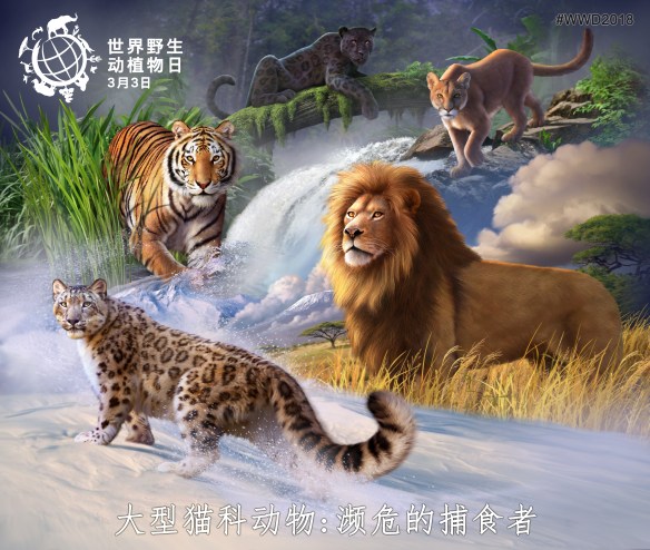 World Wildlife Day, Predators Under Threat, I Protect Big Cats, WWD2018, Big cats, Predators, Tigers, Lions, Leopards, Cheetahs, Pumas, Snow leopards, Jaguars, clouded leopards,Endangered Species, Extinction