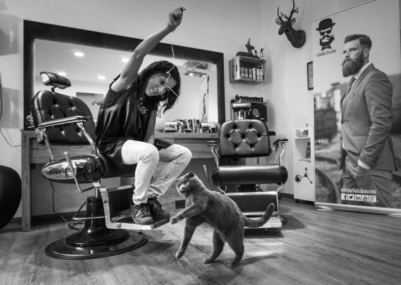 Marianna Zampieri, Photography, Italy, Weddings, Cat Photography, Brides and Cats, Cats in Venice, Photography, Cats at Work