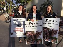Arizonans for Wildlife, mountain lions, bobcats, jaguars, ocelots and lynx, trophy hunting, trapping, animal cruelty, wildcats, ban trophy hunting, ban trapping, ban hounding, endangered species, The Humane Society of the United States, conservation