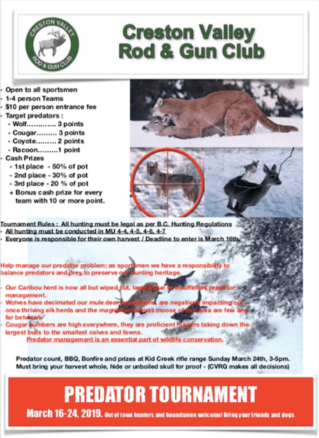 Bristish Columbia, BC, wildlife, wolves, mountain lions, cougars, wildlife kiling contests