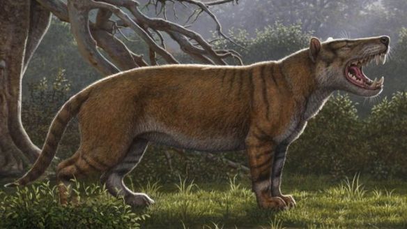 Kenya, Fossil, Giant Lion, New discovery, Prehistoric Cats