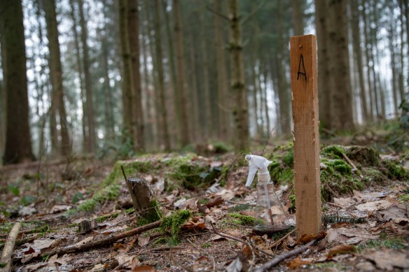 Lars Begert, Wildlife photography, Camera Trapping, Switzerland, Jura Mountains, Wildcat Monitoring Switzerland, Europen Wild Cat, Iberian Lynx, Bobcats, conservation