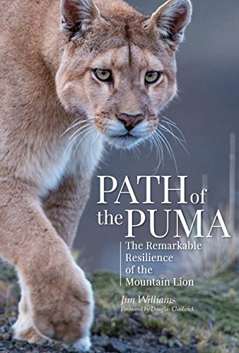 Path of the Puma, Book Review, Jim Williams, Puma, Mountain lions, Conservation, North America, South America