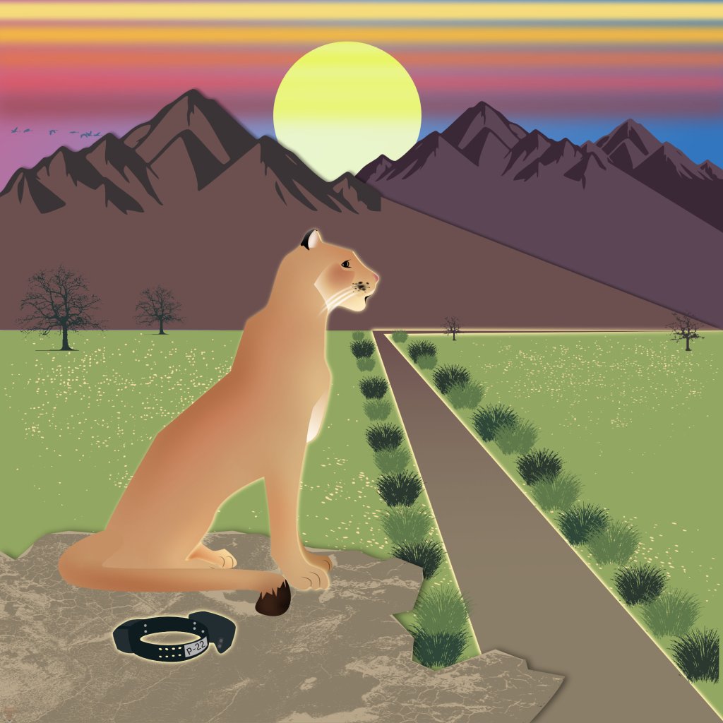 P-22, Save LA Cougars, Mountain lions, Digital Puma Design